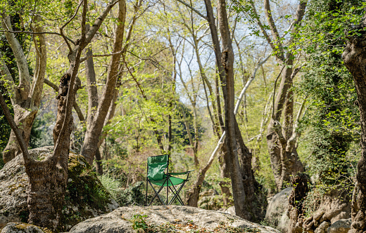 Amidst the lush greenery of the forest, a solitary green chair stands, beckoning the viewer to take a seat and enjoy the tranquility of nature. The verdant hues of the surrounding trees complement the chair's vibrant shade, creating a peaceful and harmonious scene that is sure to inspire and rejuvenate.