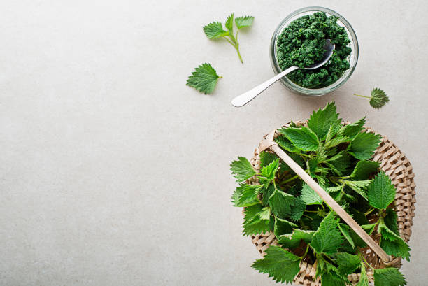 istock Nettle pesto with fresh leaves 1476238938