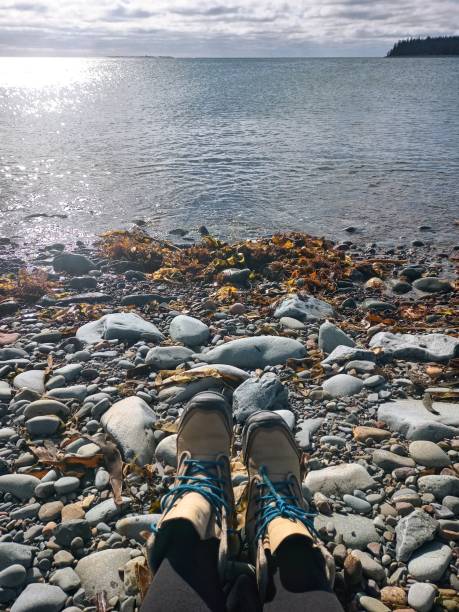 istock Rocky Beach at MacCormacks Beach Provincial Park 1476241028