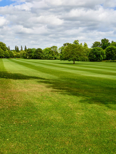 istock Merton Field. Oxford, UK 1476243158