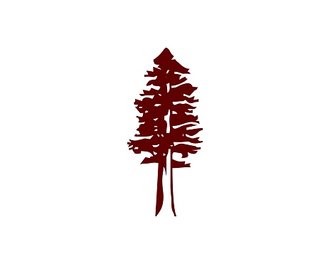silhouette of redwood tree abstract logo vector