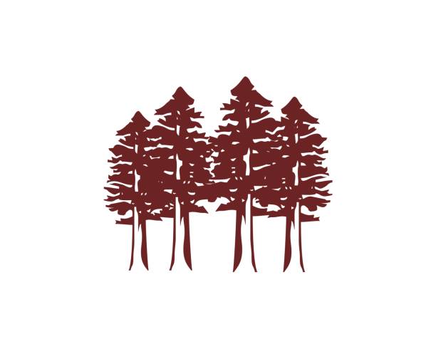 Redwood forest logo Redwood forest logo redwood tree stock illustrations