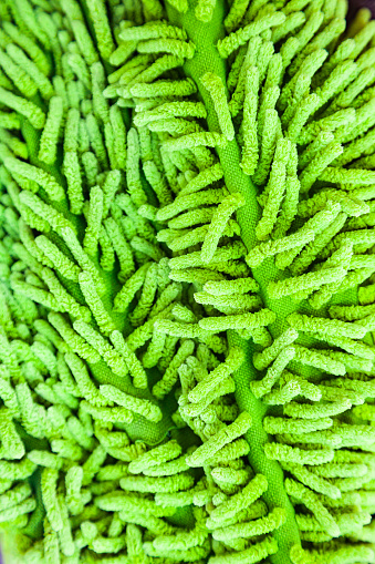 Long green pile fabric. Fabric bristles of a green brush for mopping, close-up.