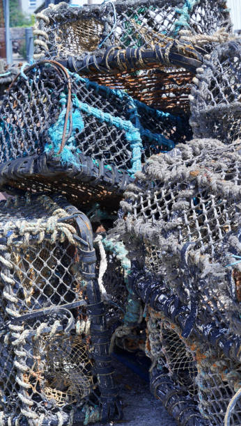 istock Lobster pots piled on the quayside 1476252209