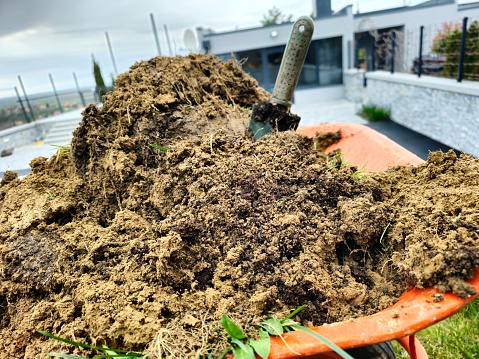 close up of a wheelbarrow full of soil and with a hand shovel in it