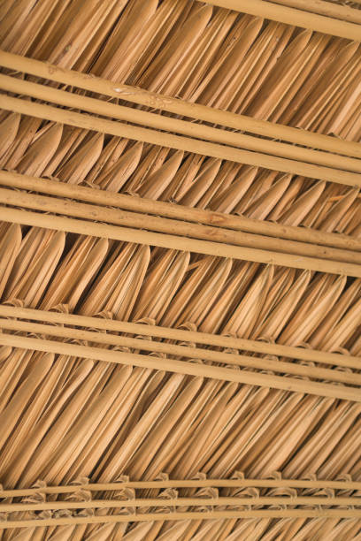 istock Thatched roof on bungalow 1476258786