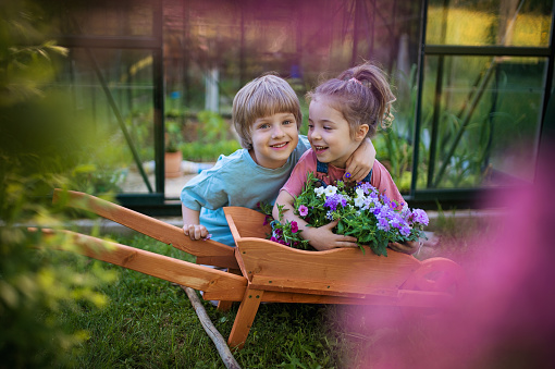 Little siblings with wooden wheelbarrow full of flowers in their garden.