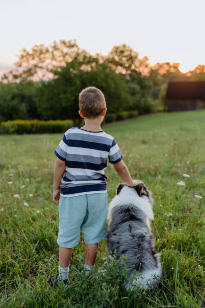 istock LIttle boy with his dog in the nature. 1476264778