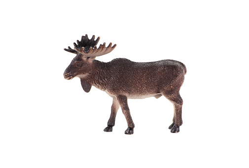 elk toy isolated on white background