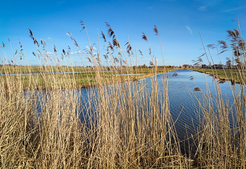 Scenic view of the Dutch polder landscape in the western part of The Netherlands.