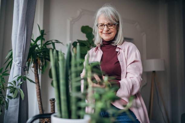 istock Senior woman using phone 1476274966