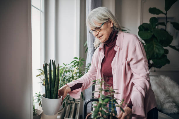 istock Senior woman at home 1476275820