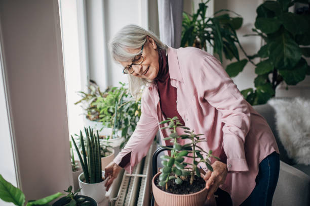 istock Senior woman at home 1476275852