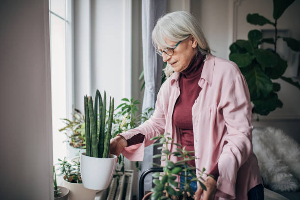 istock Senior woman at home 1476275866