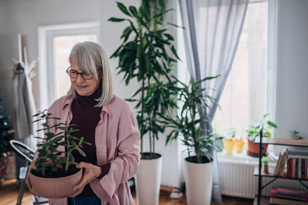 istock Senior woman at home 1476275896