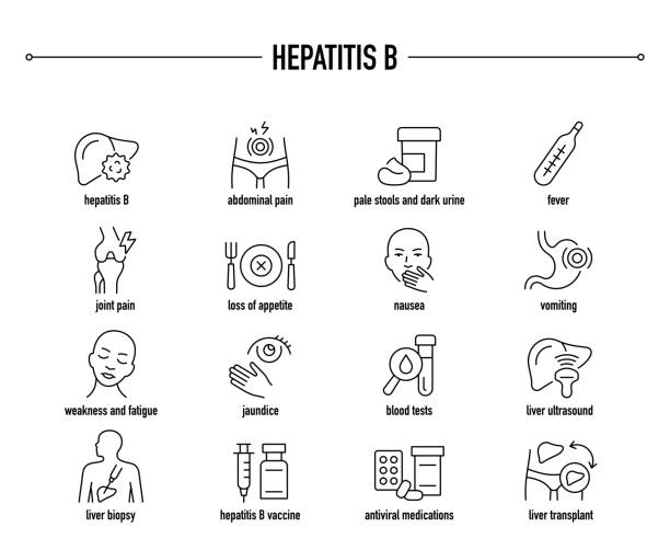 Hepatitis B vector icon set. Line editable medical icons. Hepatitis B symptoms, diagnostic and treatment vector icons hepatitis stock illustrations