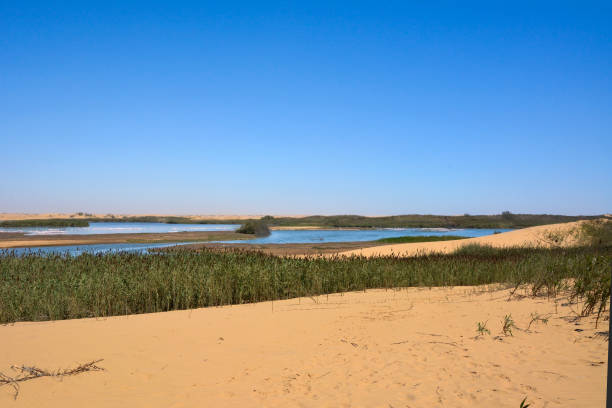 pequeños lagos en un oasis del desierto. en el fondo del cielo azul - dry sea riverbank mud fotografías e imágenes de stock