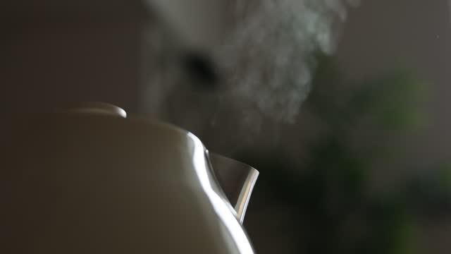 Close up of boiling water and steam comes out of white modern electric kettle. Teapot for hot drinks against background of houseplant in kitchen. Concept of coffee or tea break. Healthy lifestyle.