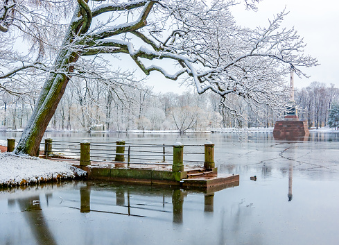 Winter in Catherine park, Tsarskoe Selo (Pushkin), Saint Petersburg, Russia