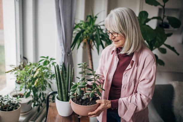 istock Senior woman nurturing plants 1476278132