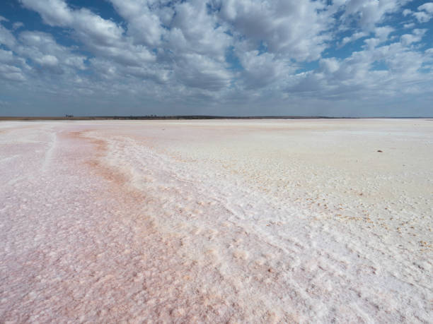 istock Dried up Pink Salt Lake on sunny day 1476280281