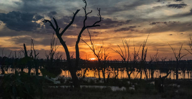 istock Winton Wetlands in Australia 1476287186