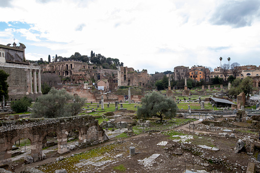 Roman Forum elevated panoramic view with ancient ruins, UNESCO World Heritage Site, Rome, Lazio, Italy, Europe