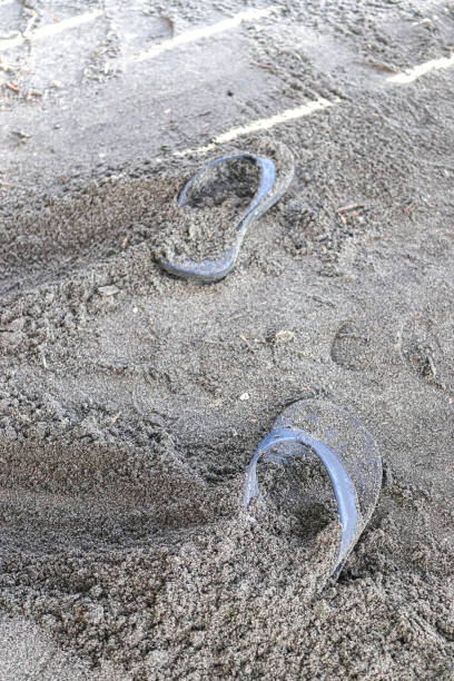 istock a pair of sandals along the sandy beach 1476290592