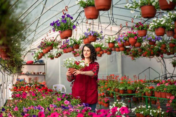 istock Female worker working at garden center 1476297498