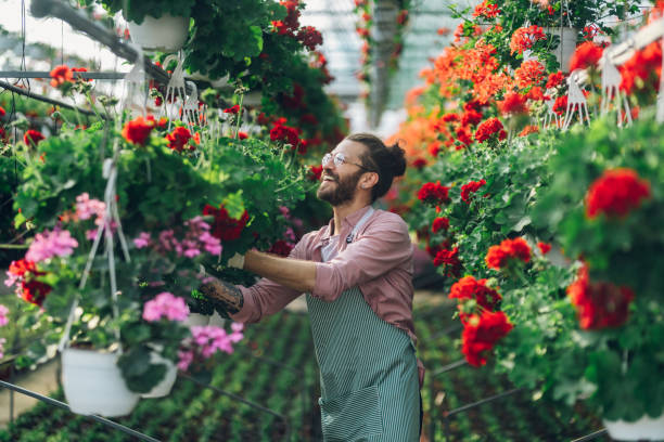 istock Man gardener working in a greenhouse 1476299733