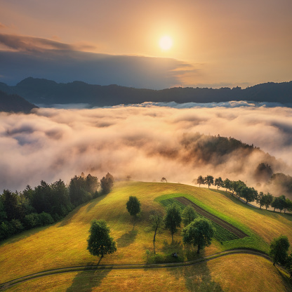 Aerial view of alpine meadows and mountains in low clouds at amazing sunrise in summer. Top drone view of hills with green grass and trees in fog, colorful sky in Slovenia. Nature. Mountain valley