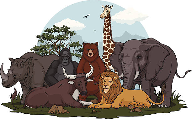 개척시대의 짐승 컬레션 - medium group of animals illustrations stock illustrations
