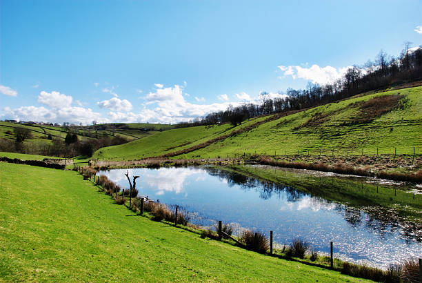 Tranquil pond in rolling English countryside surrounded by green pastures and reflecting the sunny sky