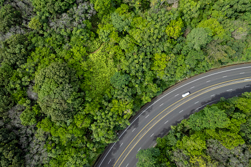 Highway 61 in East Oahu, Hawaii. Transportation and vehicles in nature.