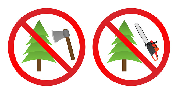 The signs are designed to be easily visible and are meant to discourage people from cutting down trees.