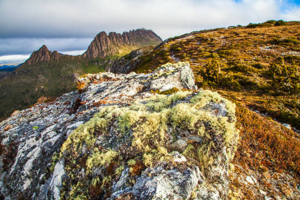 istock Cradle mountain in golden morning light with mmossy rock foreground 1476348617