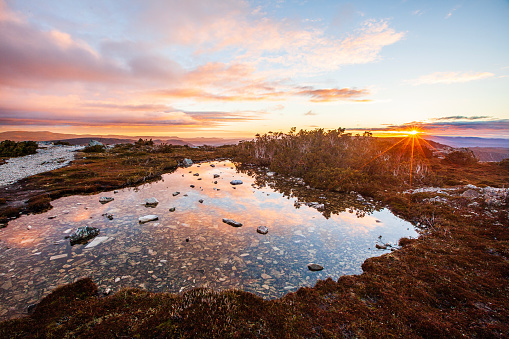 Cradle mountain national park landscape scene in golden morning light. Tasmania, Australia.