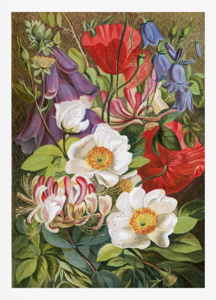 istock Beautiful Seasonal illustration. Summer Flowers. 1476349559