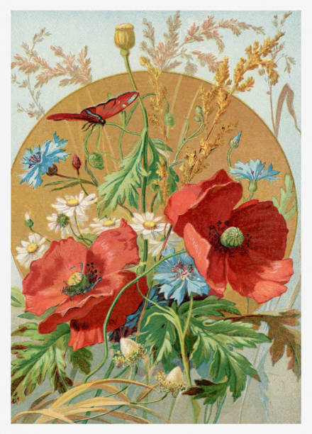 Seasonal illustration of 