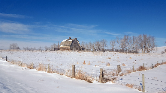 Pristine new snowfall. Old barn and fence from the past. Rural Alberta.