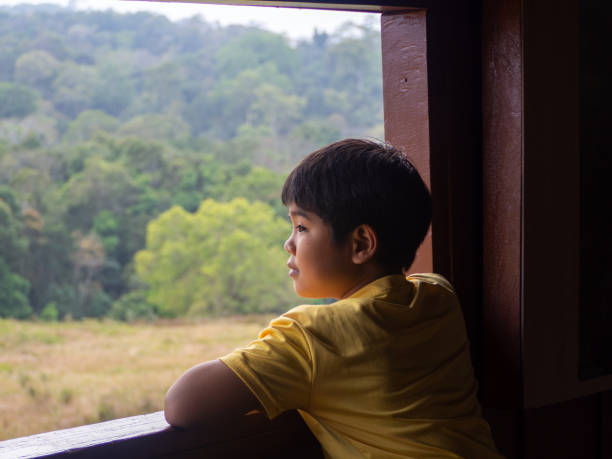 istock boy looking out window looking at the green forest 1476362442