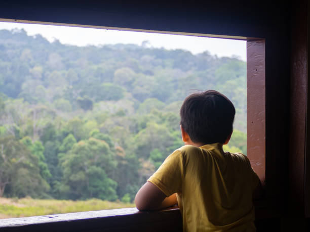 istock boy looking out window looking at the green forest 1476362448