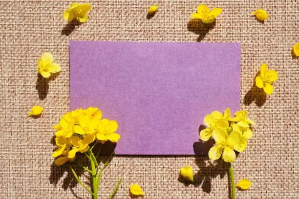 Photo of Mock-up of spring purple message space with canola flower on a wheat-colored jute fabric background