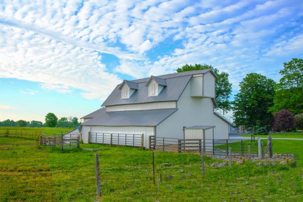 istock White Barn in early morning- Hamilton County, Indiana 1476375880
