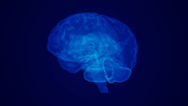 istock medical idea of the human brain 1476377615