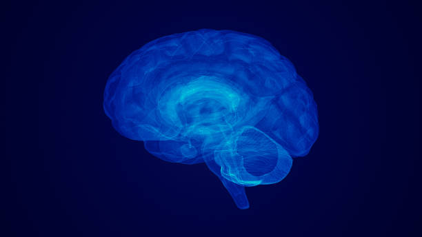 istock medical idea of the human brain 1476377627