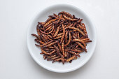 Entomophagy, a pile of edible worms in a white bowl