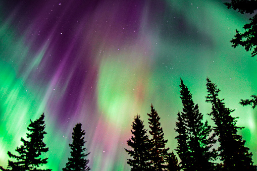 The solar storms have created opportunities to view the northern lights all across the United States