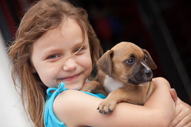 istock child with puppy dog 147639866