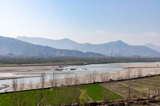 istock Beautiful landscape view of green fields with river in spring 1476400889